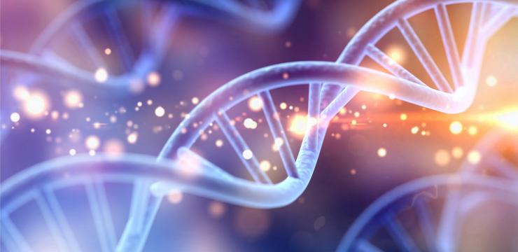 Masquelier’s OPCs und unsere DNA Masquelier’s OPCs helfen unserer DNA, die Herz-Kreislauf-Gesundheit zu unterstützen.