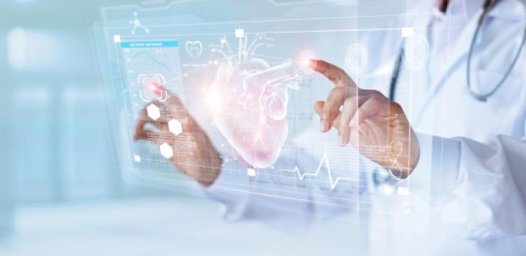 Oxidativer Stress und Herzinfarkt OPCs unterbrechen die Kaskade von Ereignissen, die zu Herzinfarkt führen, indem sie die Herstellung von Stickstoffmonoxid sicherstellen und dieses vor Oxidation schützen.